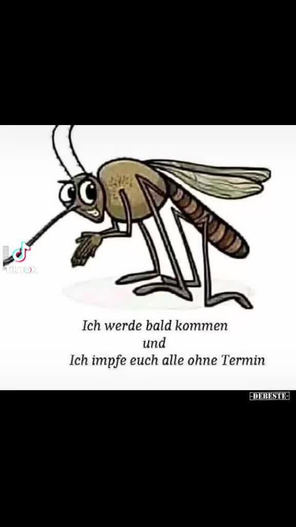 @Andy Mörl