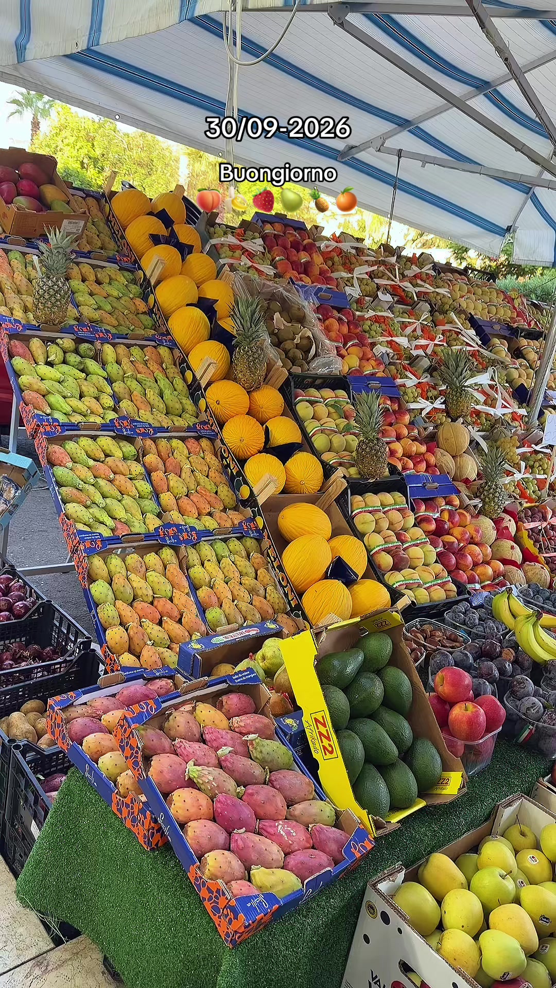 @Torregrossaortofrutta