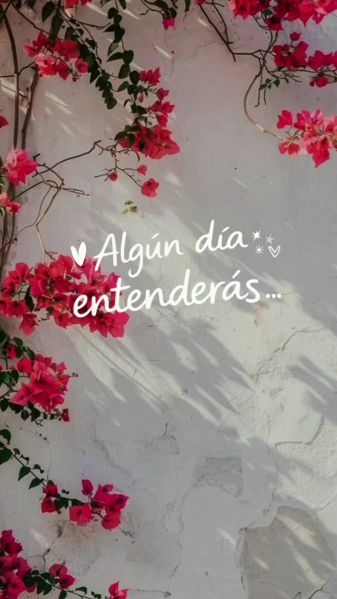 @Flores en Marte.