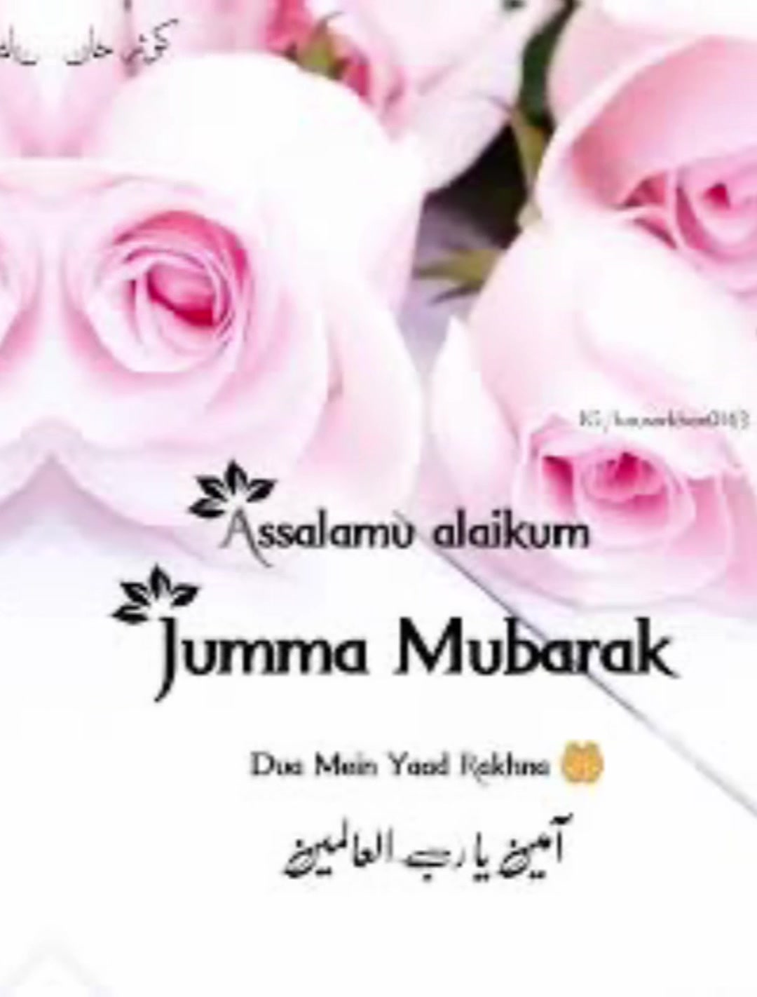 @Yums