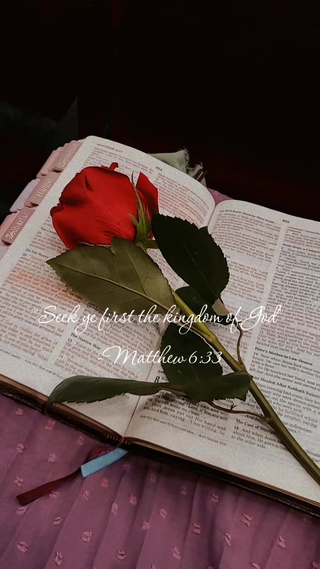 @Restored to Rise