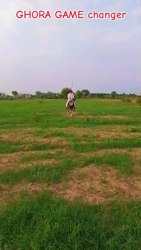 @GUJJAR BADSHAH CHAK PIRANA