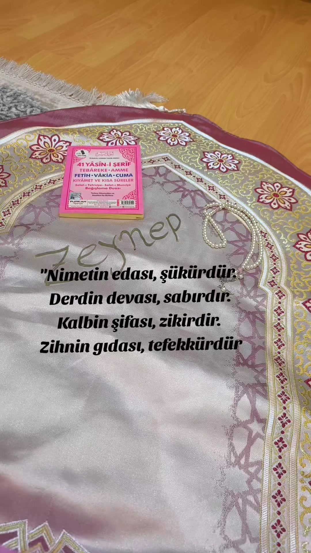 @mutfağı mı &ccedil;ok seviyorum efnan