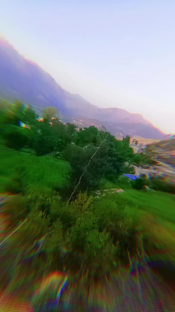 @waseem malang 🌹🌱🌷🌲🌳