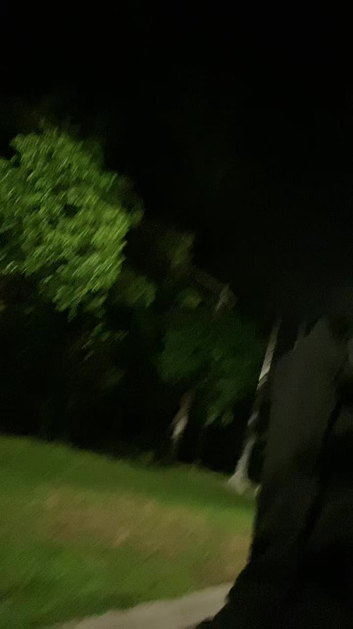 @777.sonix_
