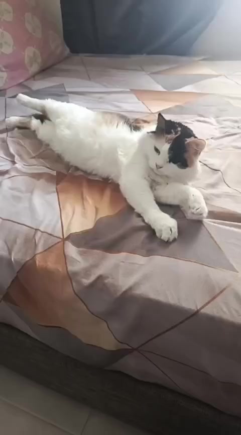@lau_qui98
