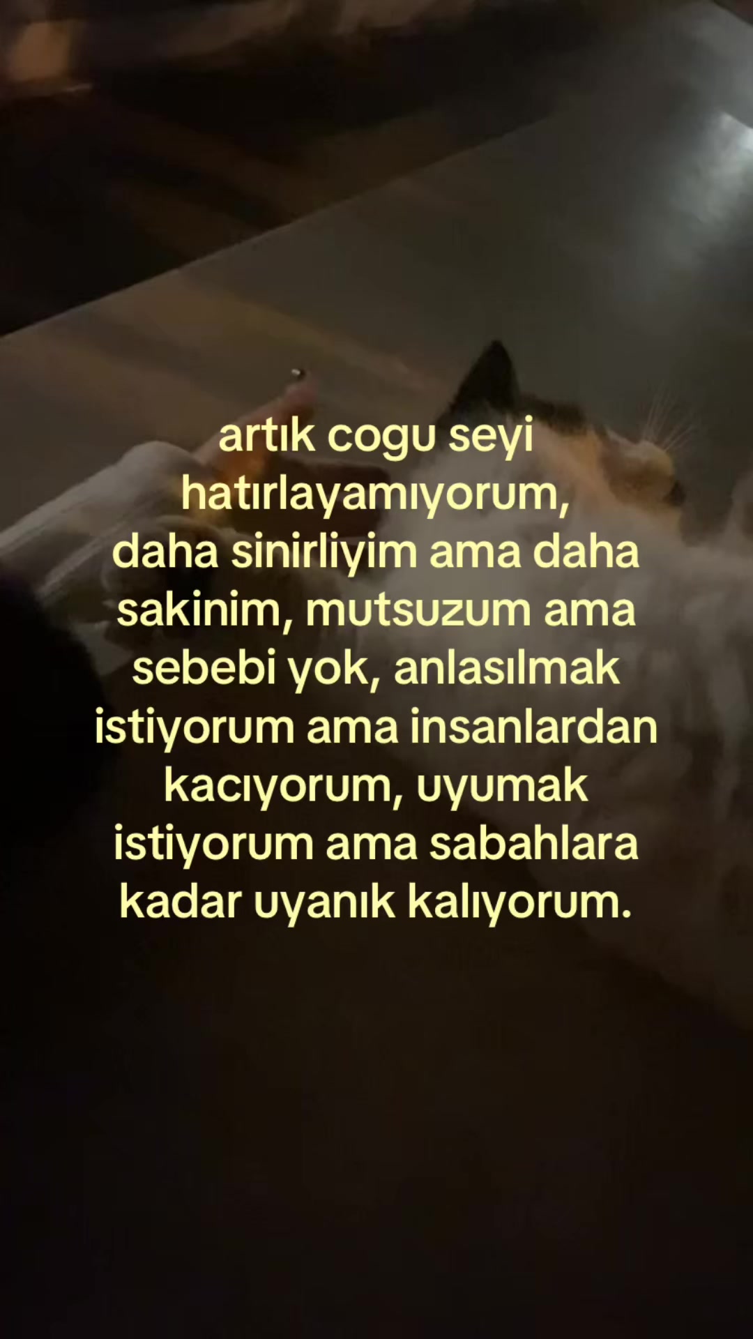@aydinlimessio
