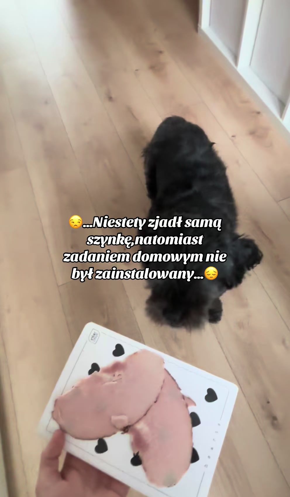 @✨🪽