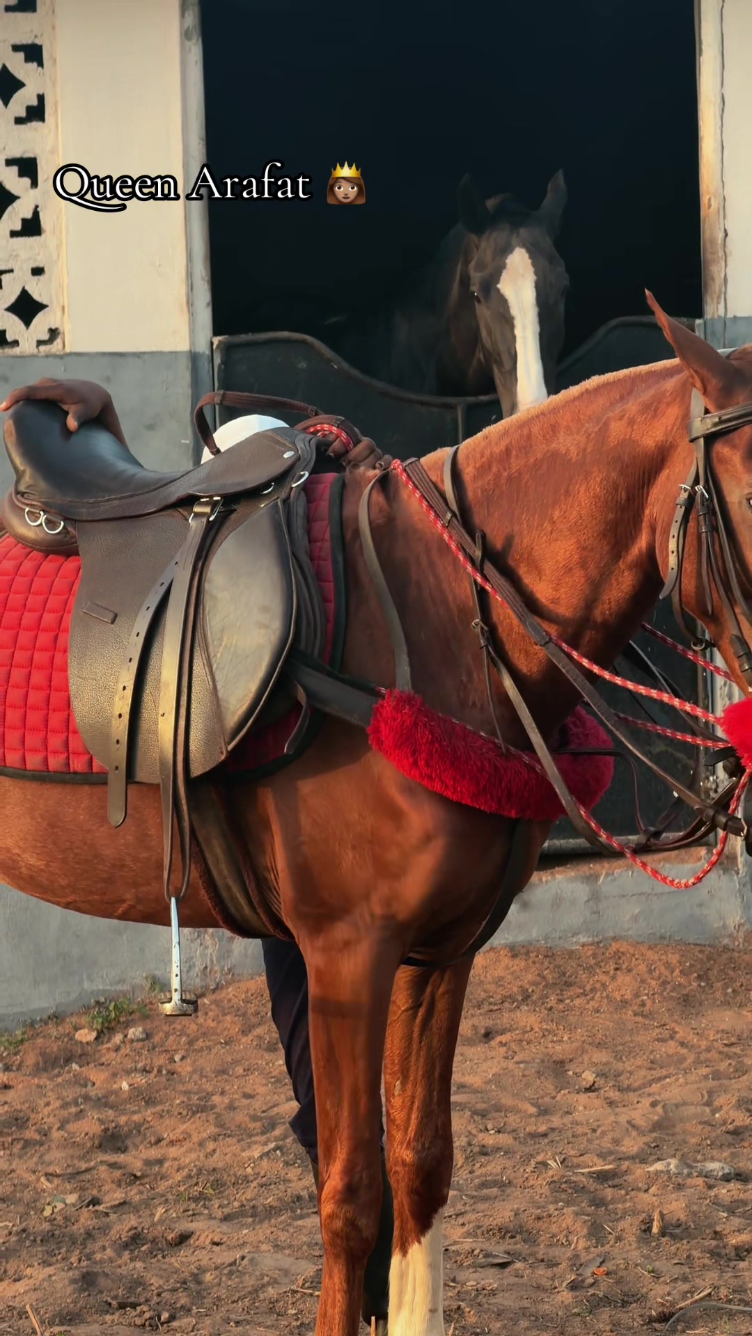 @GIWA🐴EQUESTRIAN🐎♥️WORLDWIDE
