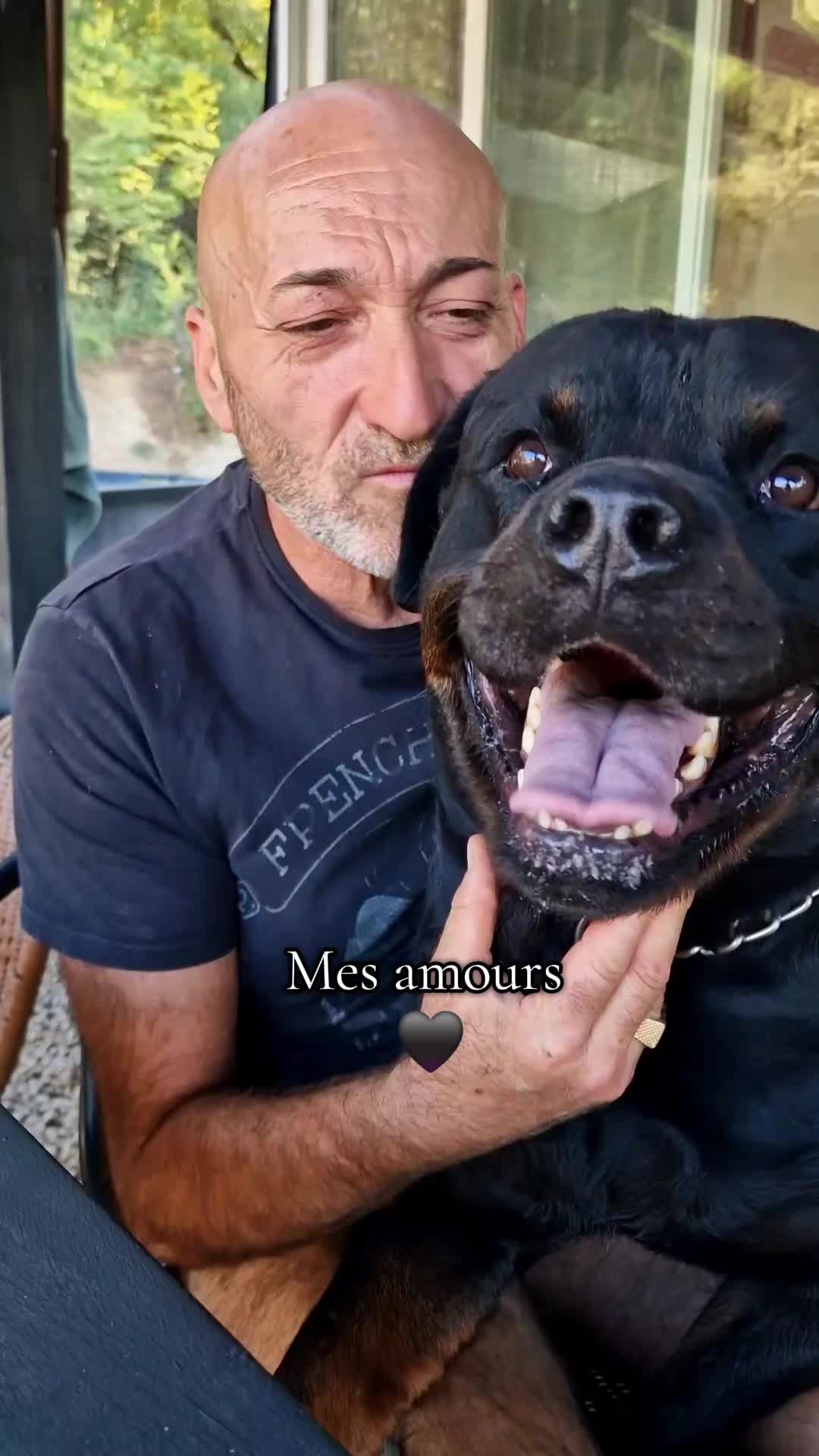 @Laetitia FACHETTi Rottweiler