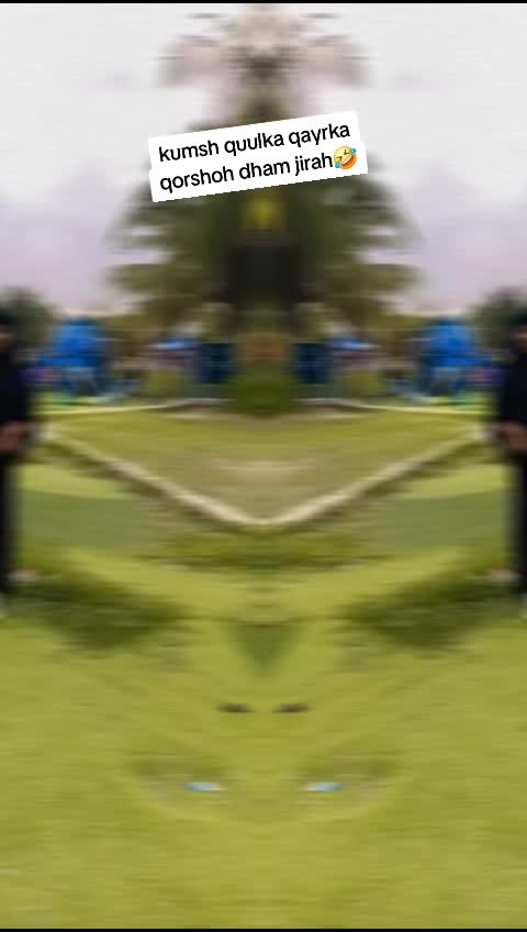 @Liya๐ฆ๐