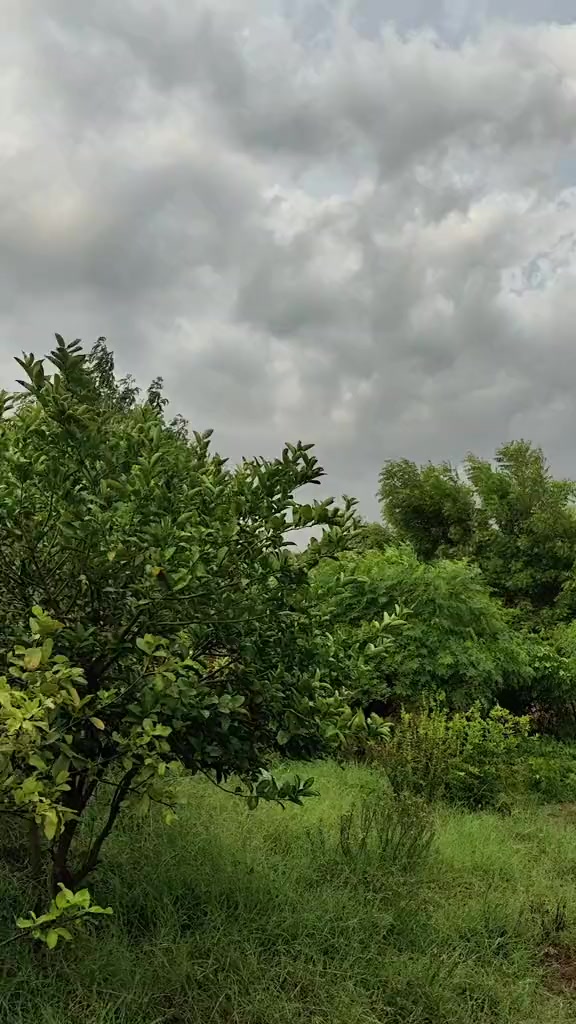 @ꃅคᵦⁱᵇꪊ𝗅𝗅α𝐡⛎