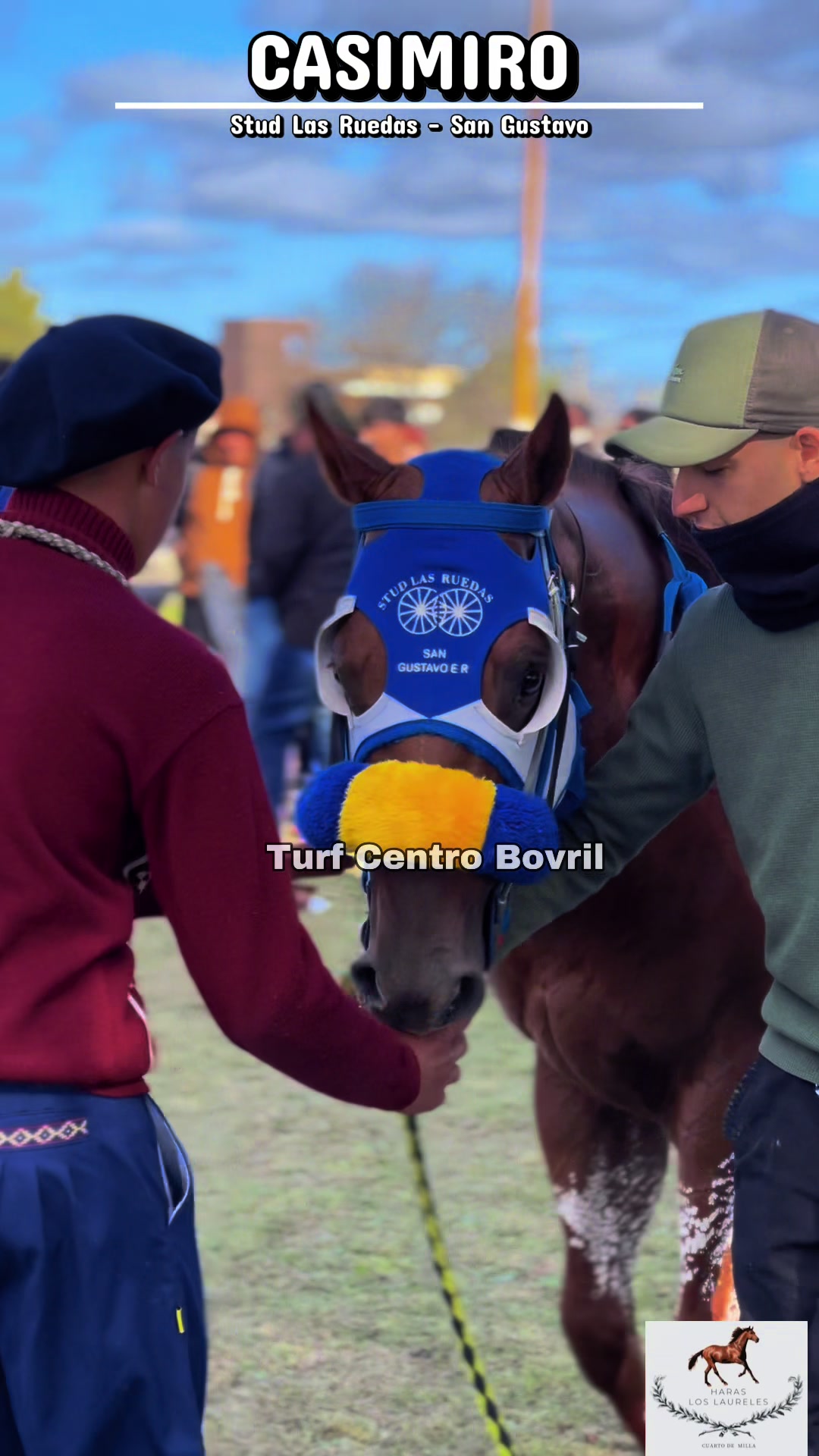 @TURF CENTRO BOVRIL