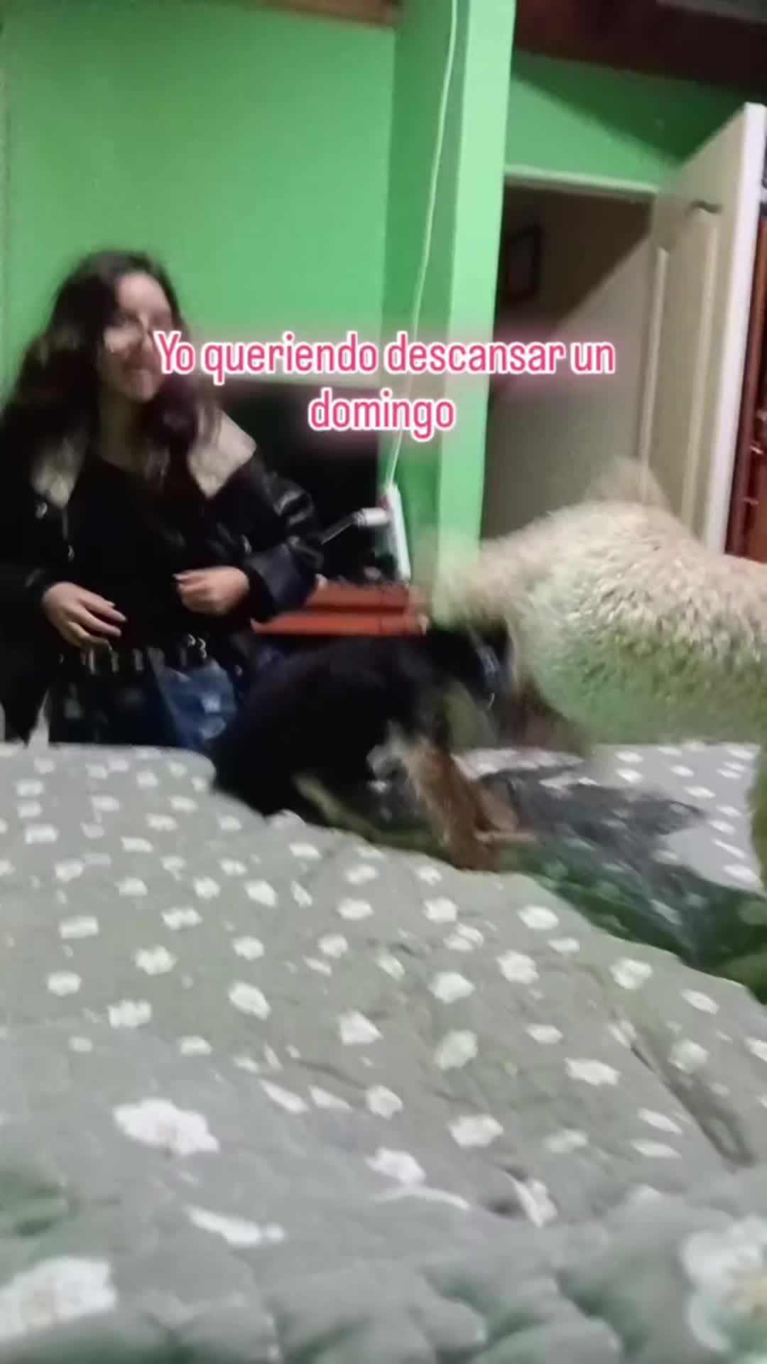 @@tiasussyvirtual