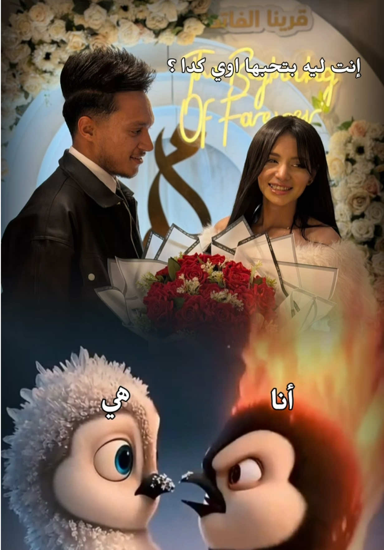 @Mostafaozil