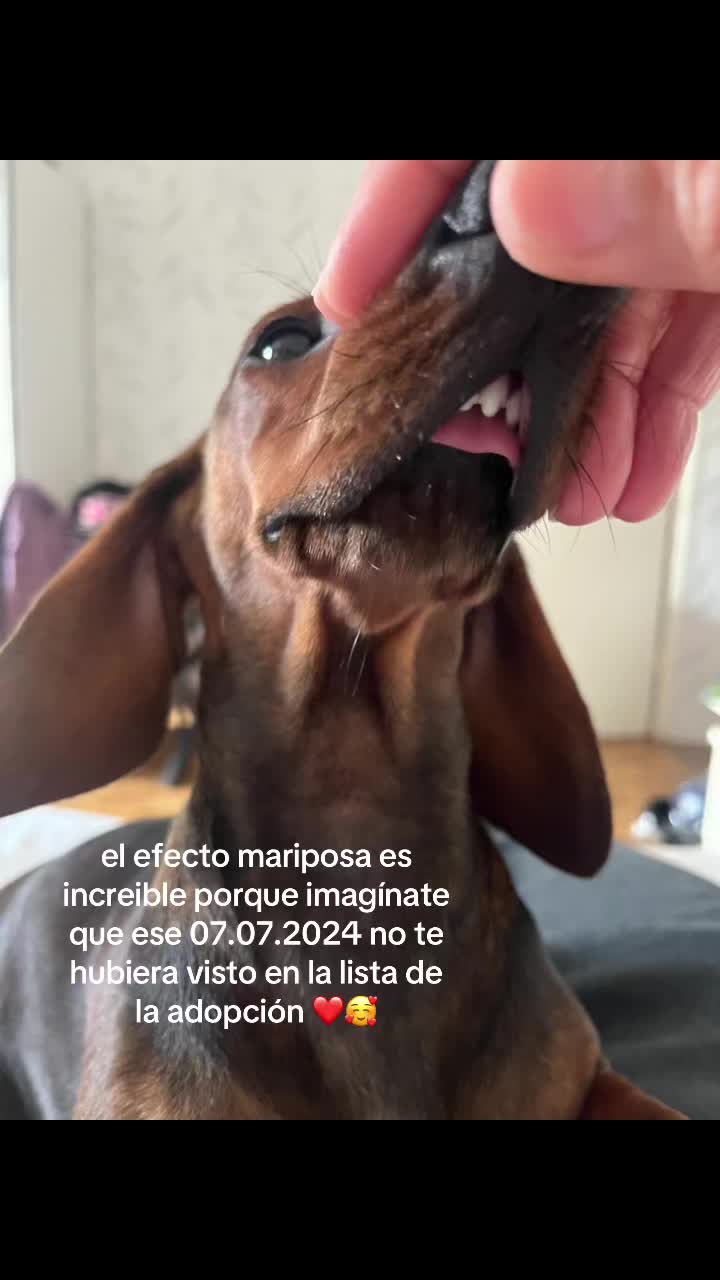 @Isabella Tangarife
