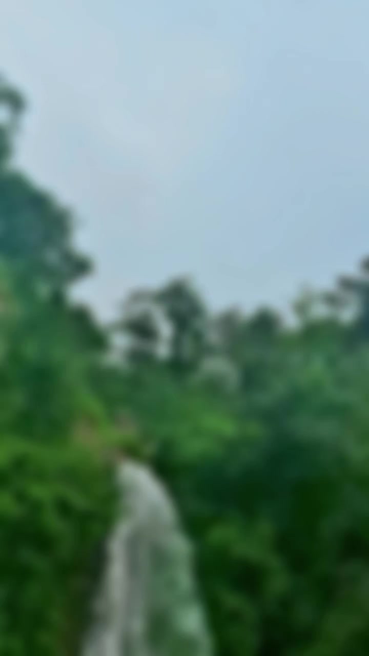 @kalpanaxettri908