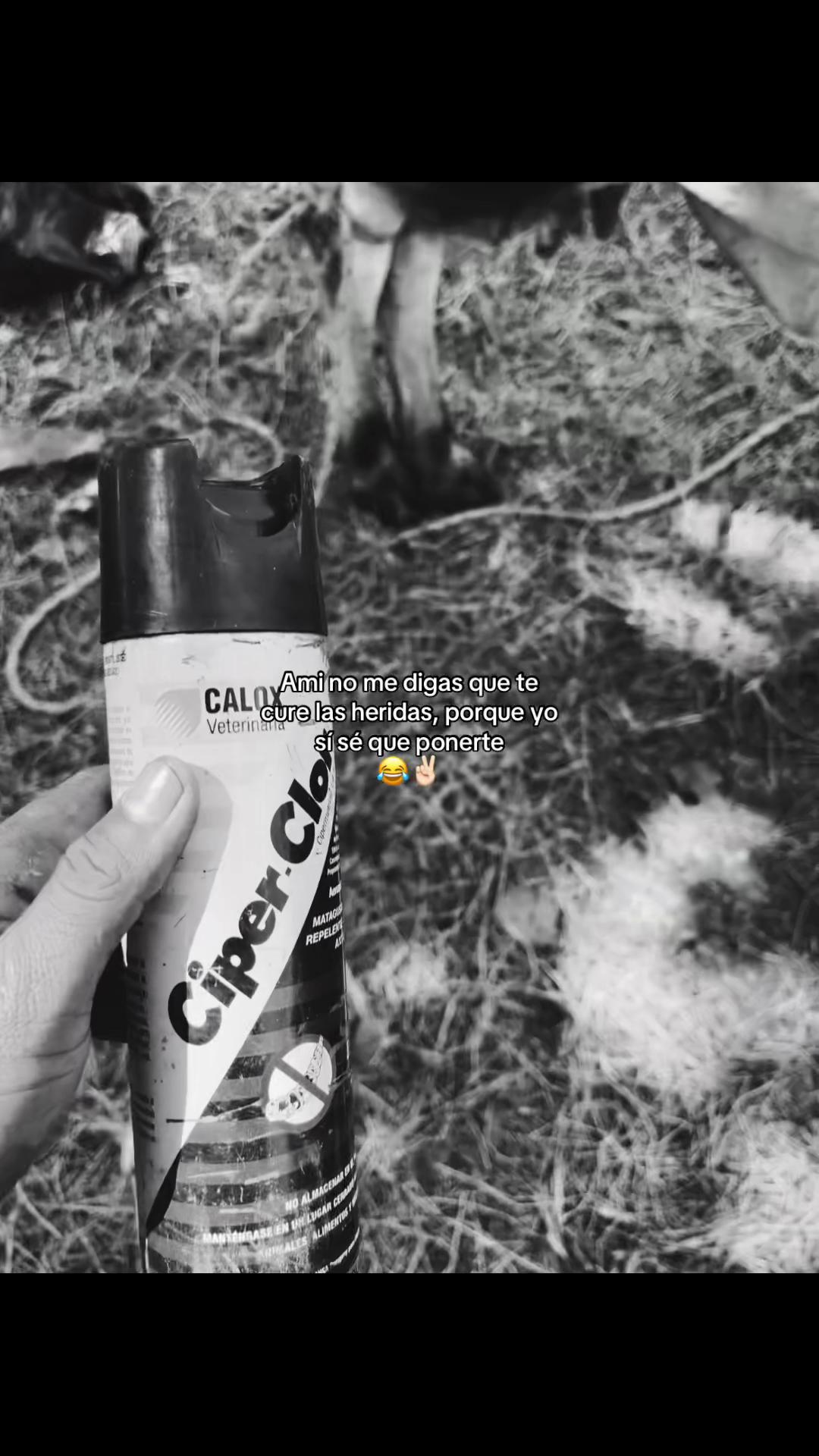 @Oliverr 🤹🏻