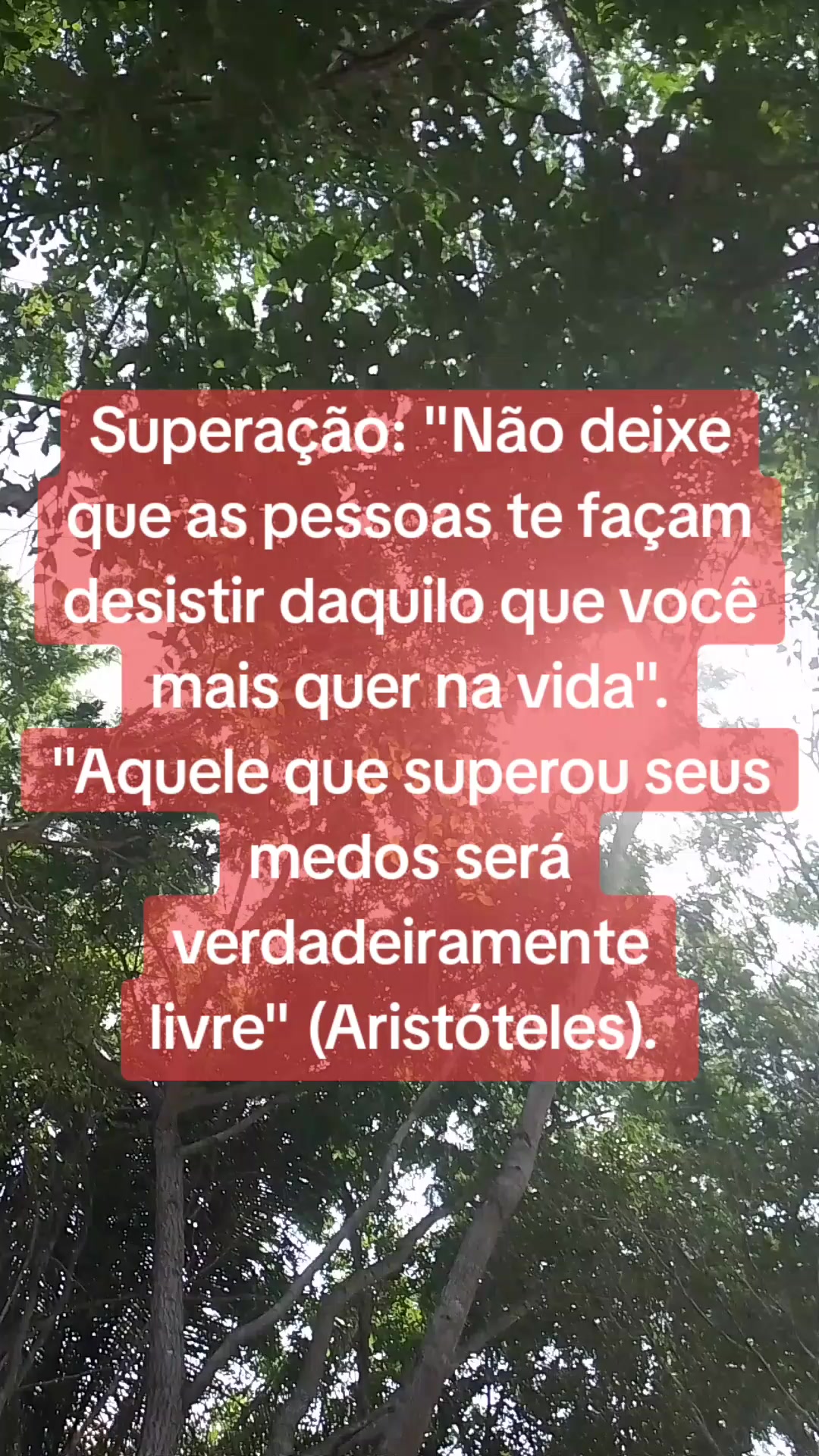 @Marlon Fortes
