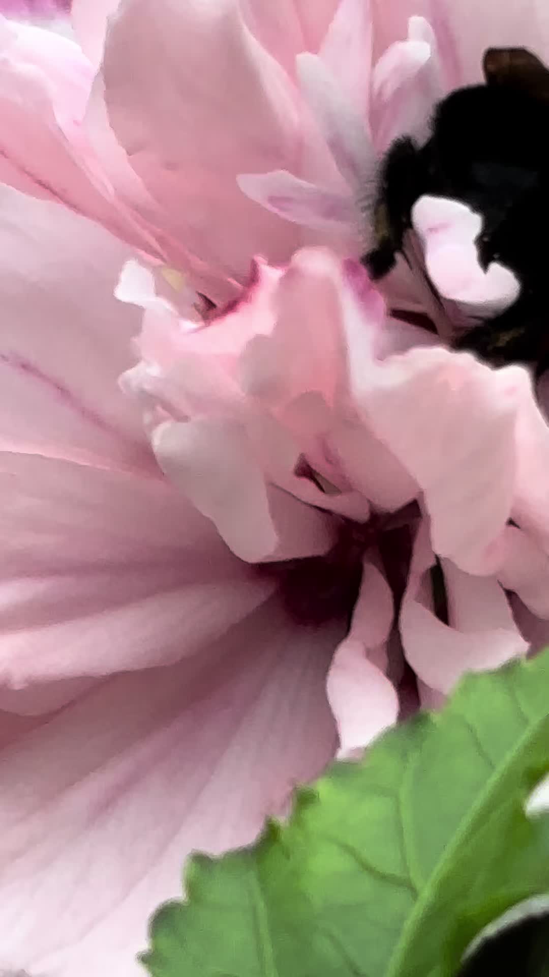 @marla3177