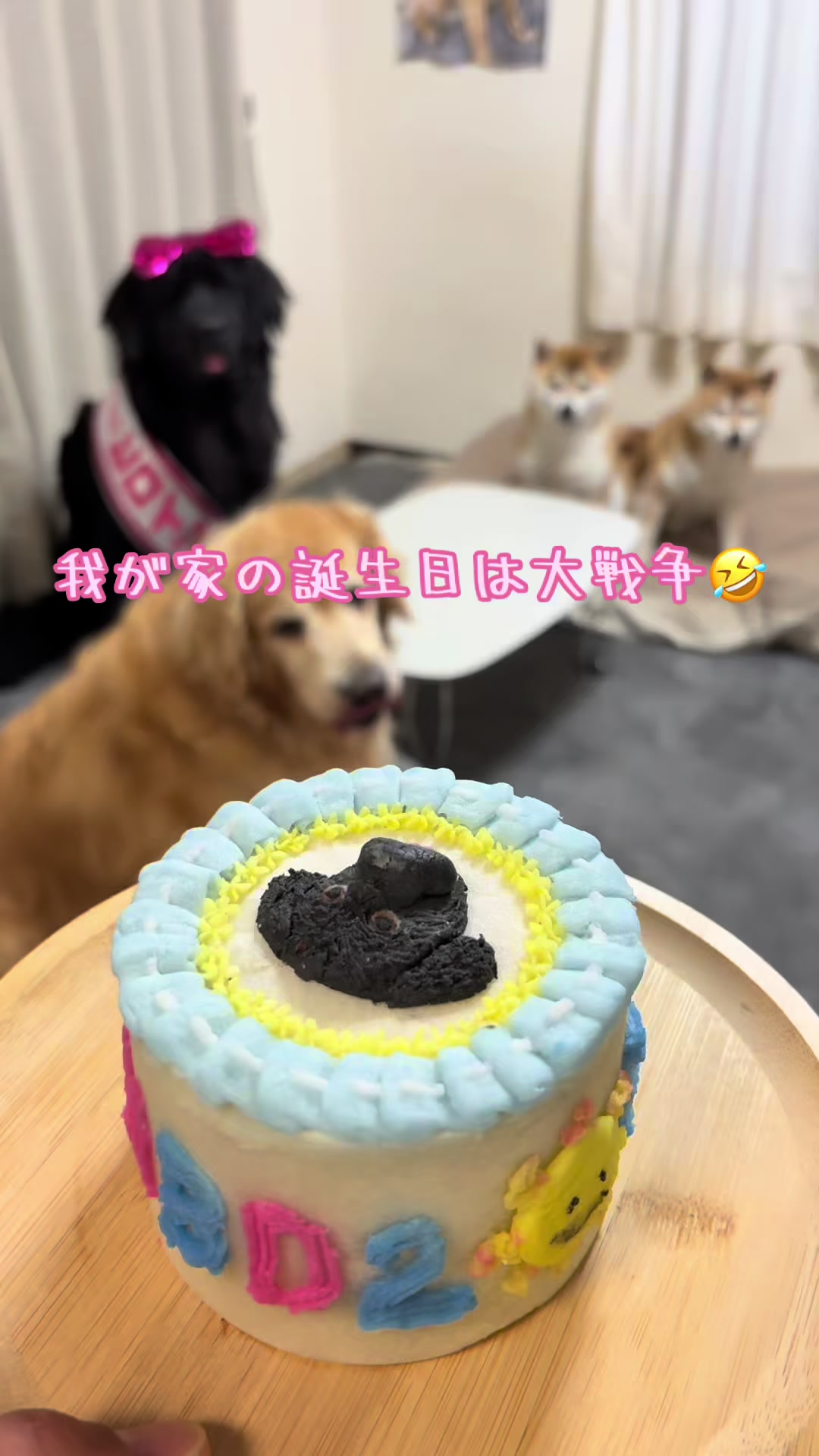 @ムックパパ🔶🐾