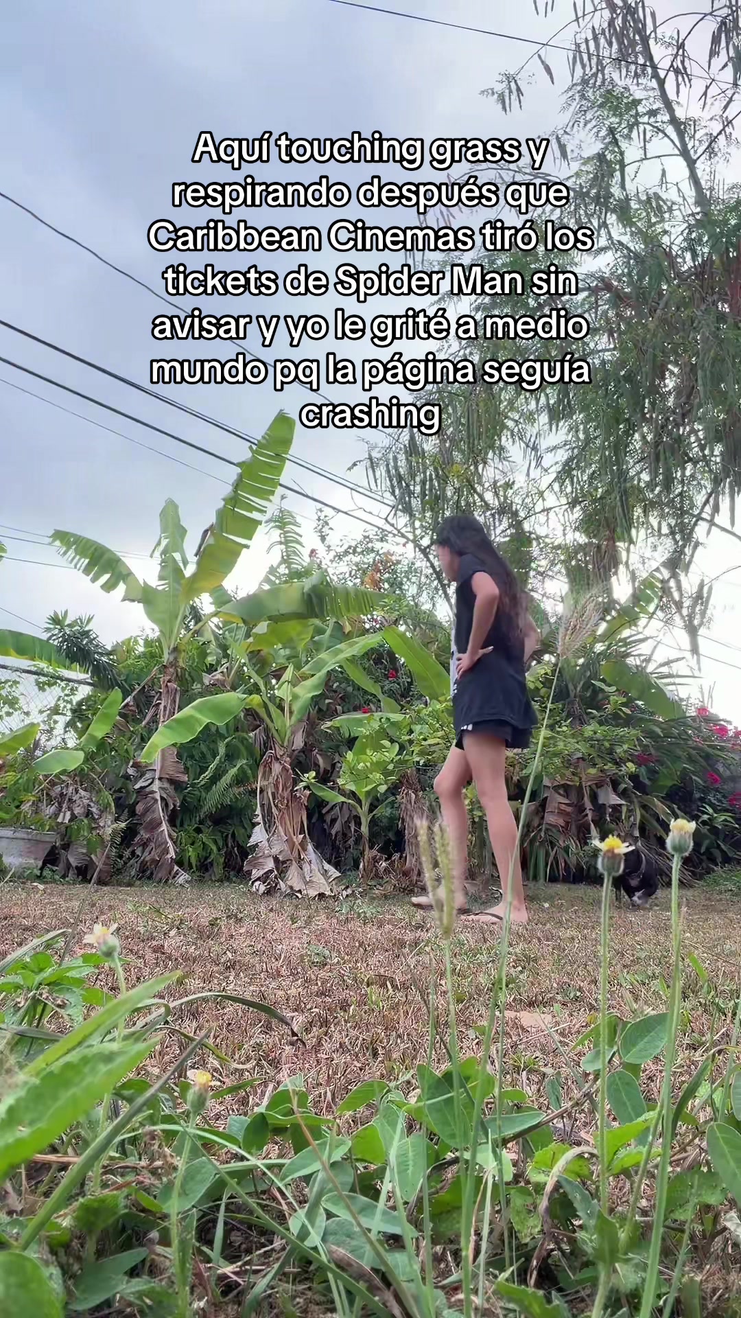 @Krys