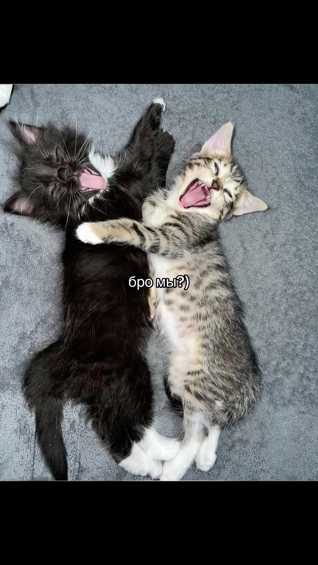 @Дианка 💖