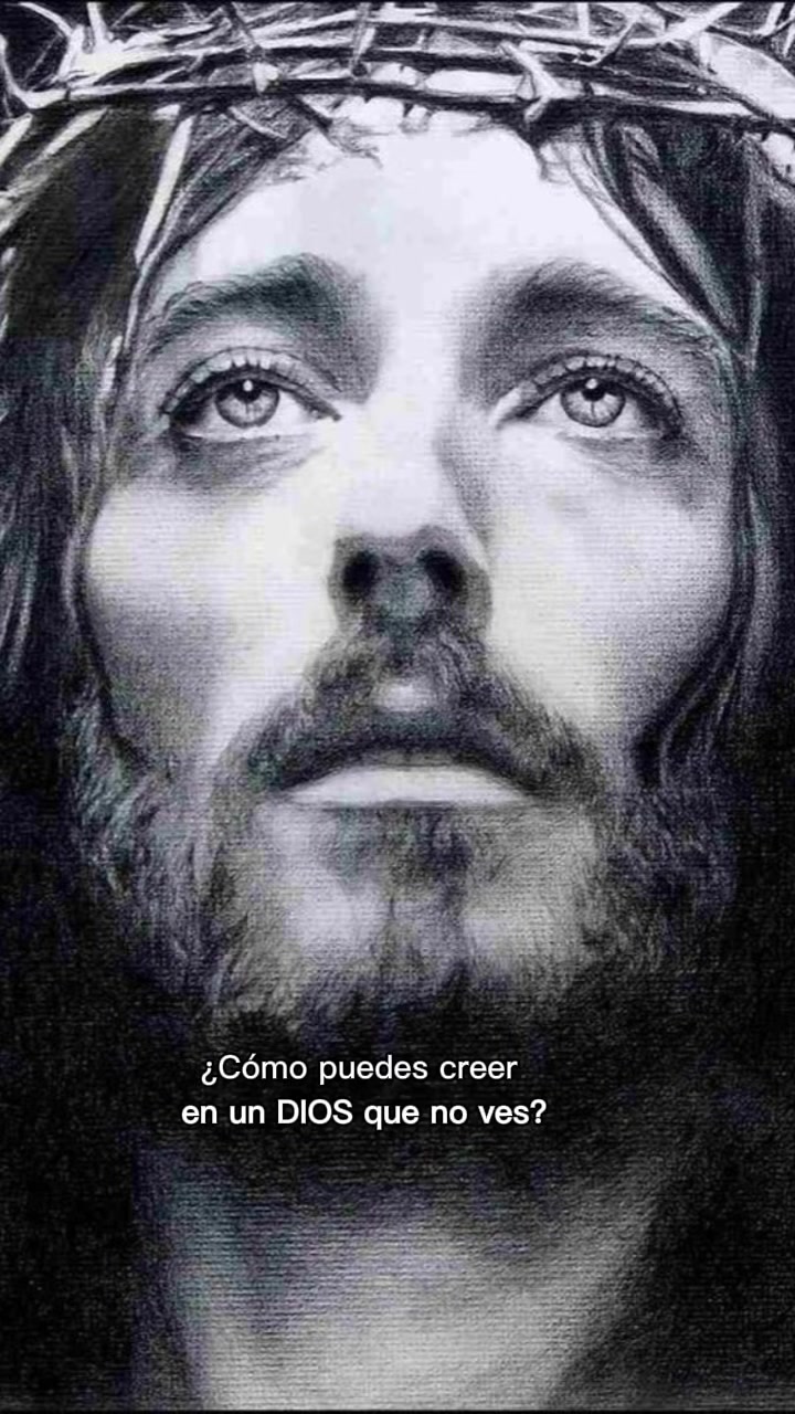 @🦁America Camargo 👑🇲🇽🥔🍟🌎
