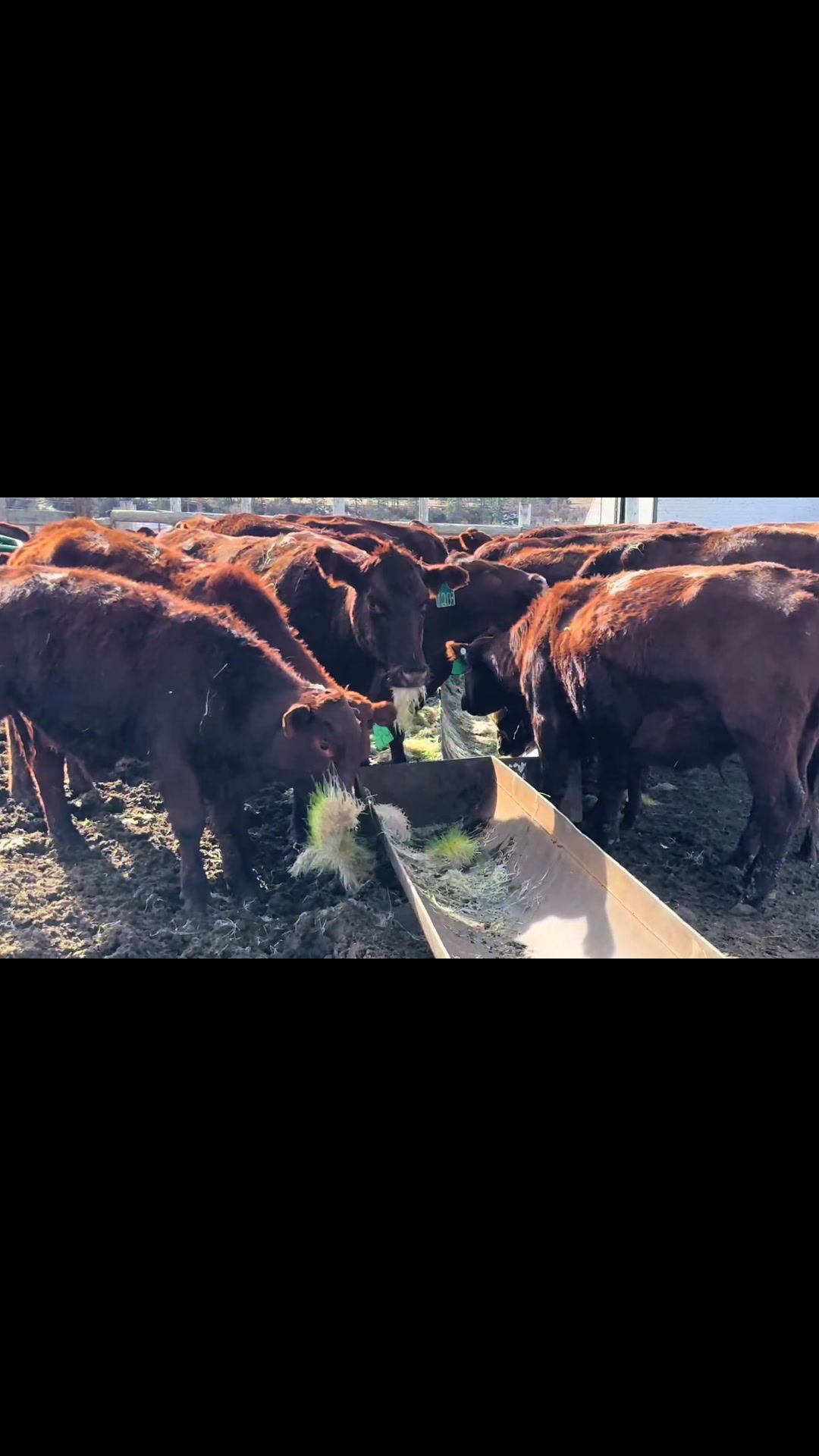 @FarmBox Foods