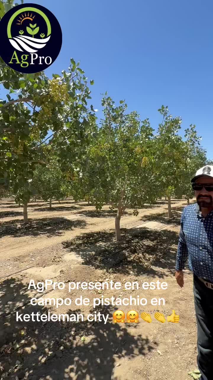 @Piedad Ayala