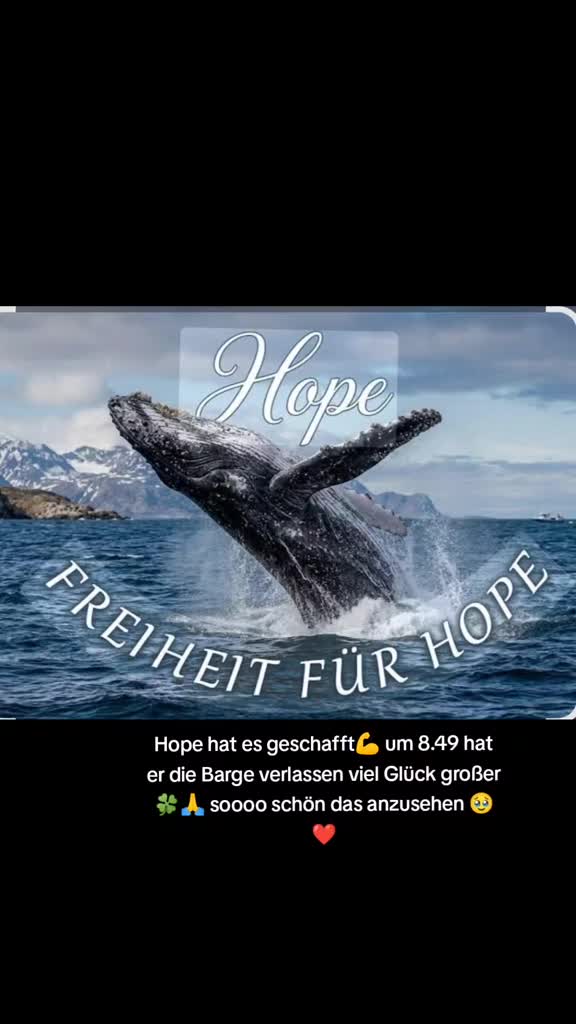 @🪽Angel73🪽😇
