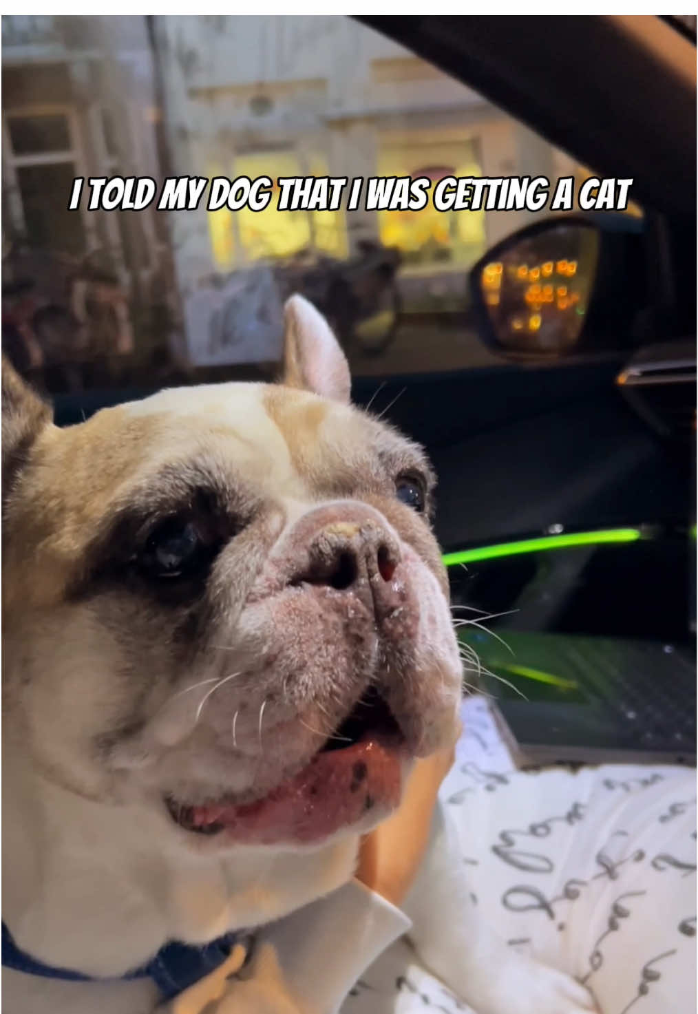 @Sunny 🐶
