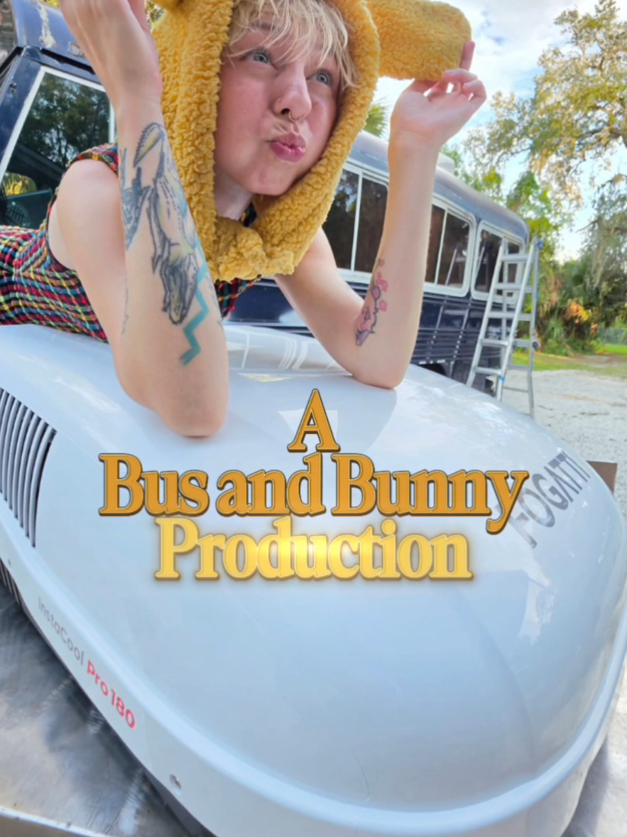 @BusandBunny
