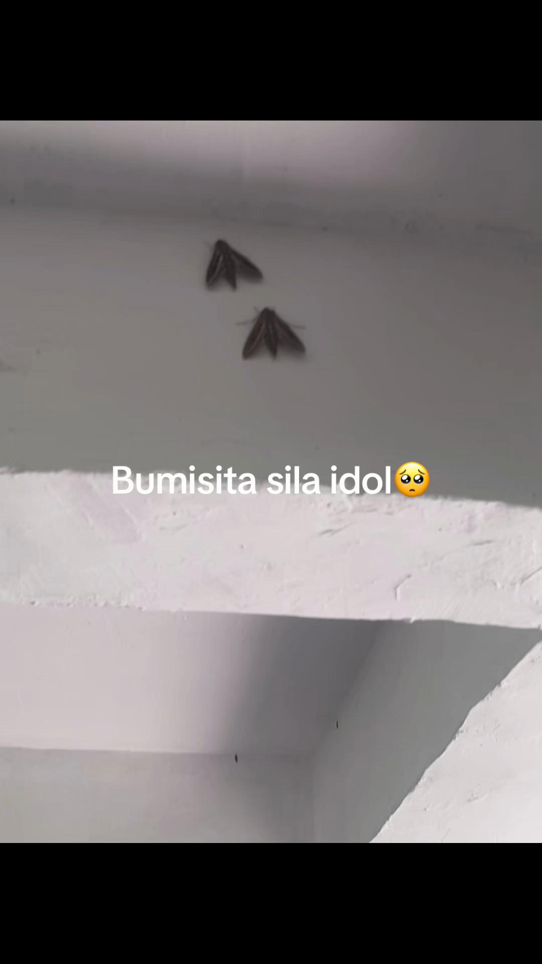 @E