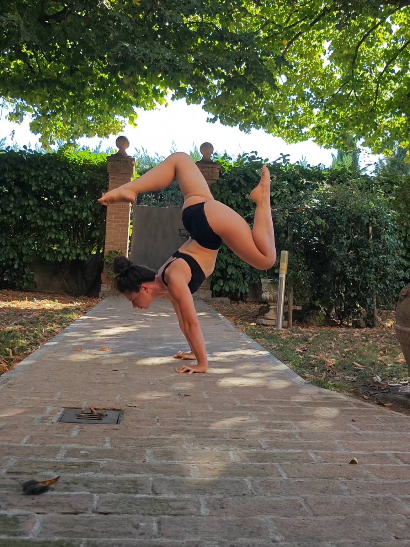 @acrobatic___