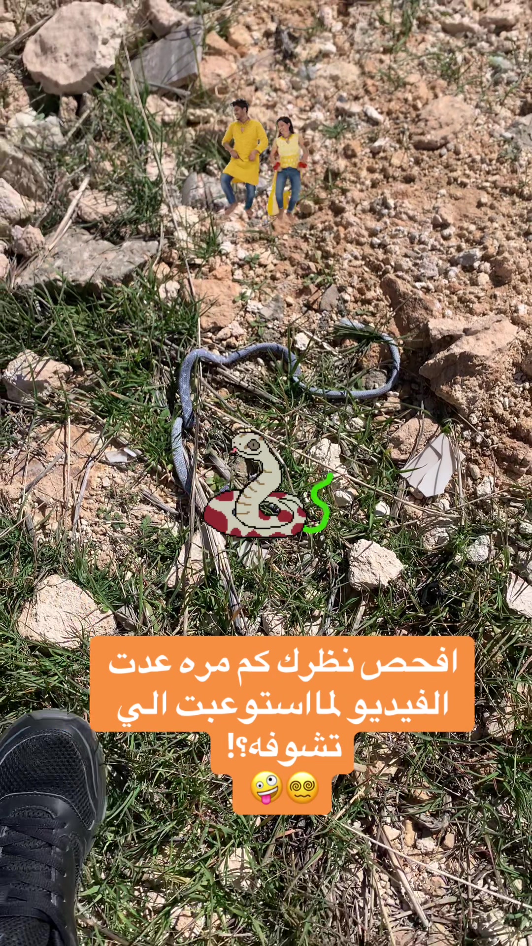 @قصي المجالي
