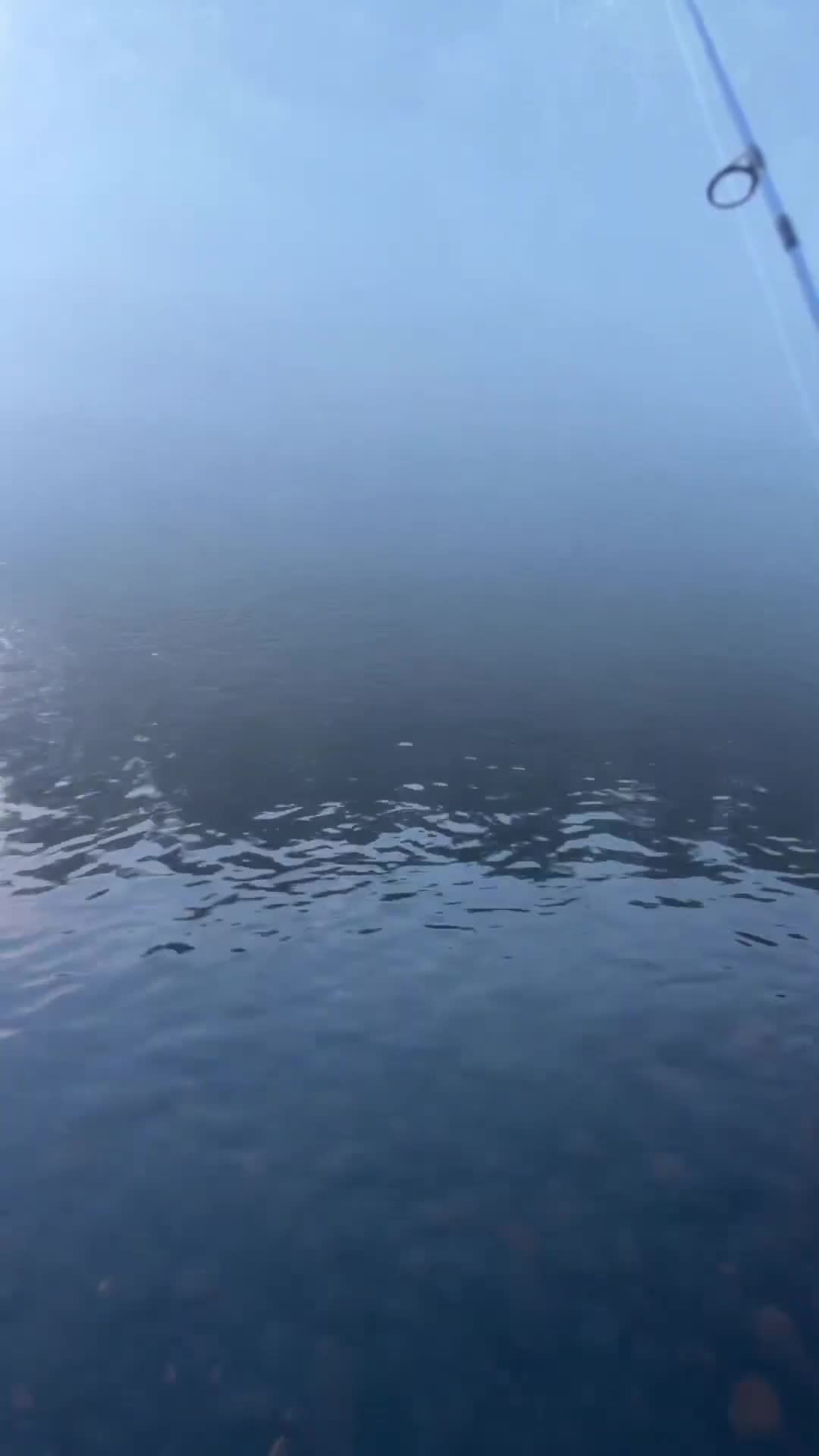 @LOVELACE 🎣
