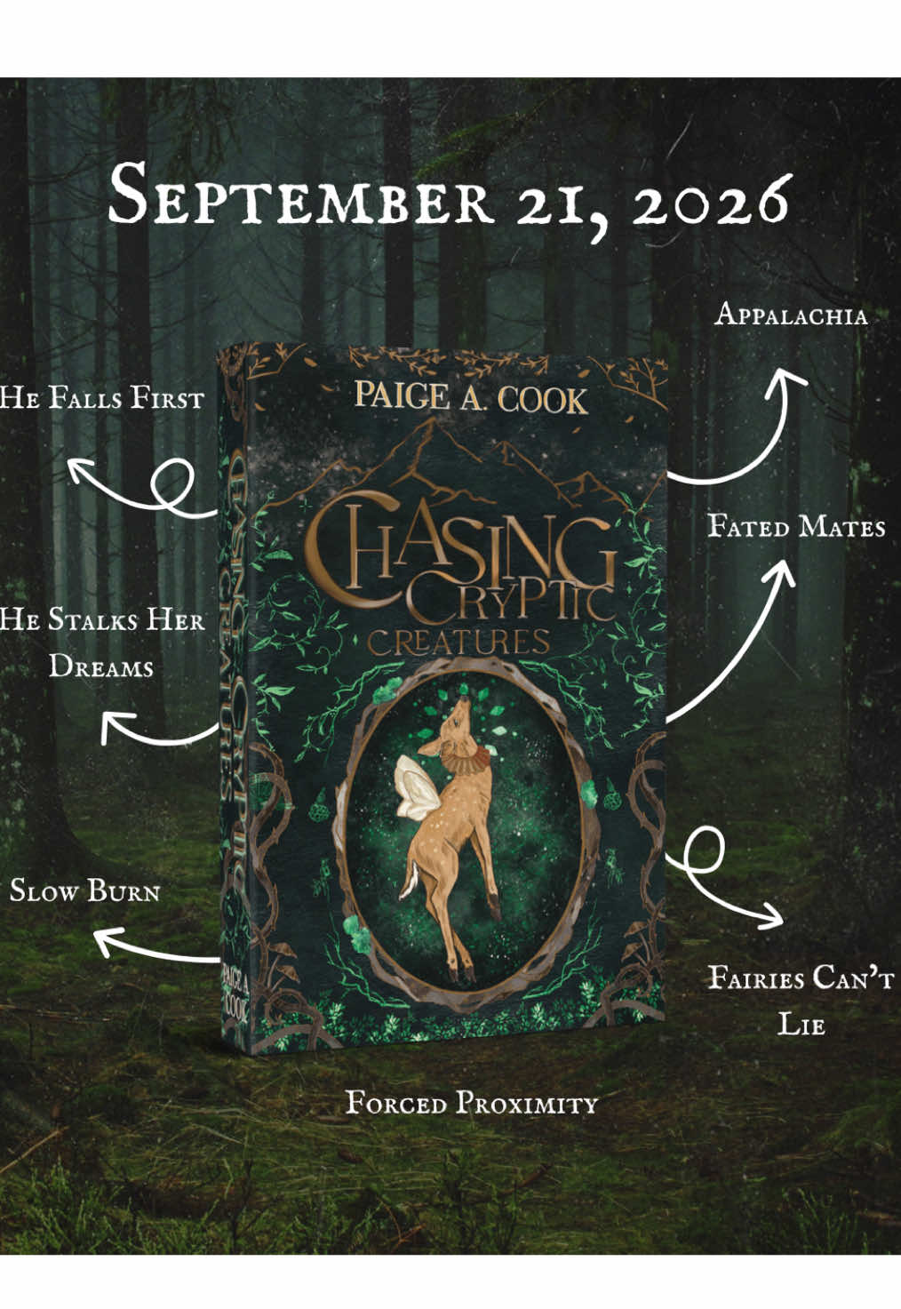 @Author Paige A. Cook