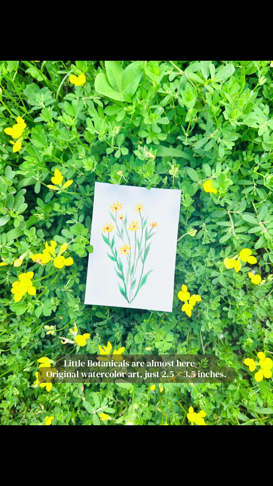 @Juniper Watercolors