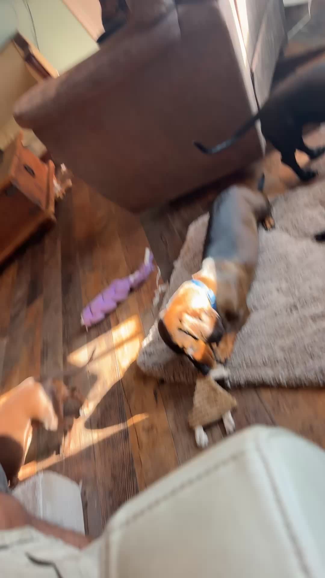 @ozzythedoxy