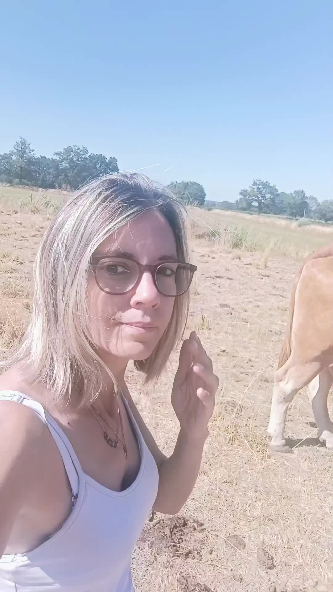 @Ludivine 🪶🐶🐮