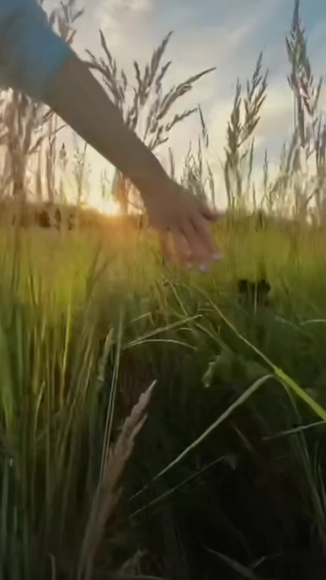 @Светлая_Арт