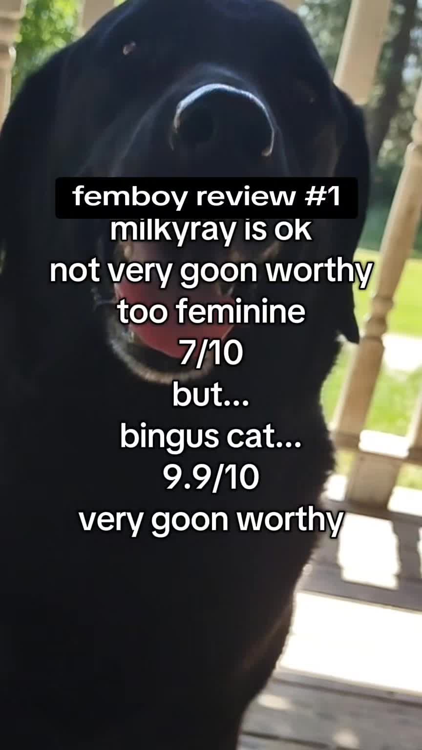 @Femboy Reviews ™