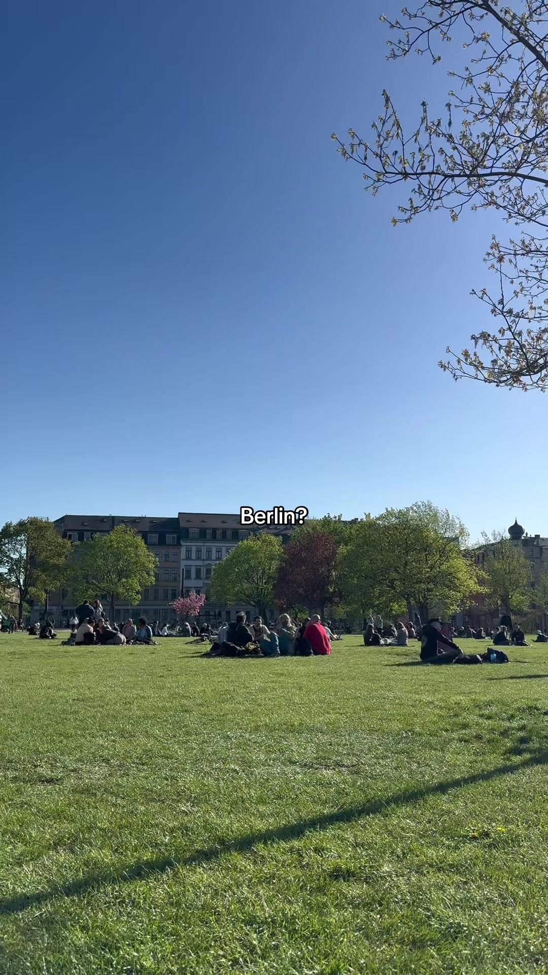@solebtdresden