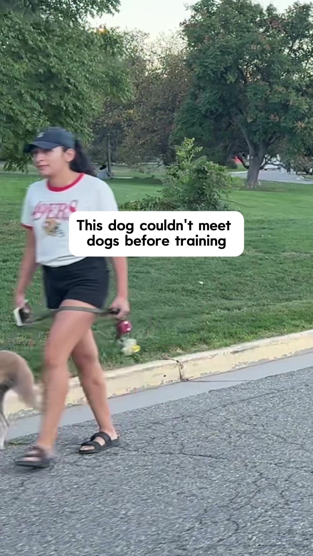 @forthedogs