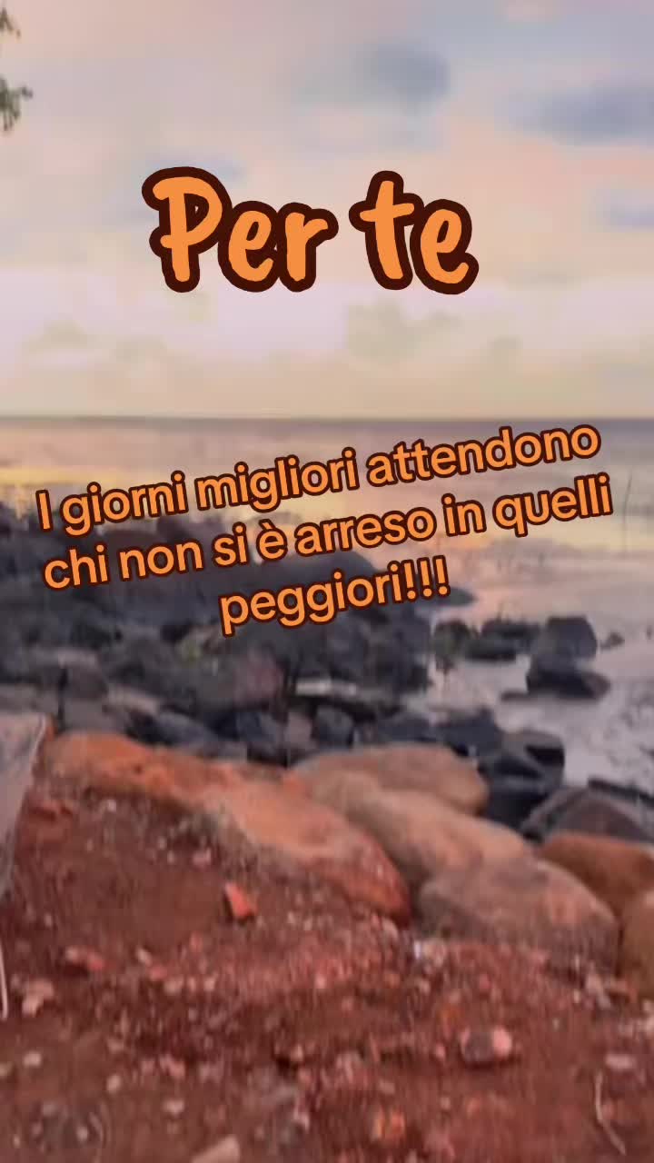 @incastroperfetto1