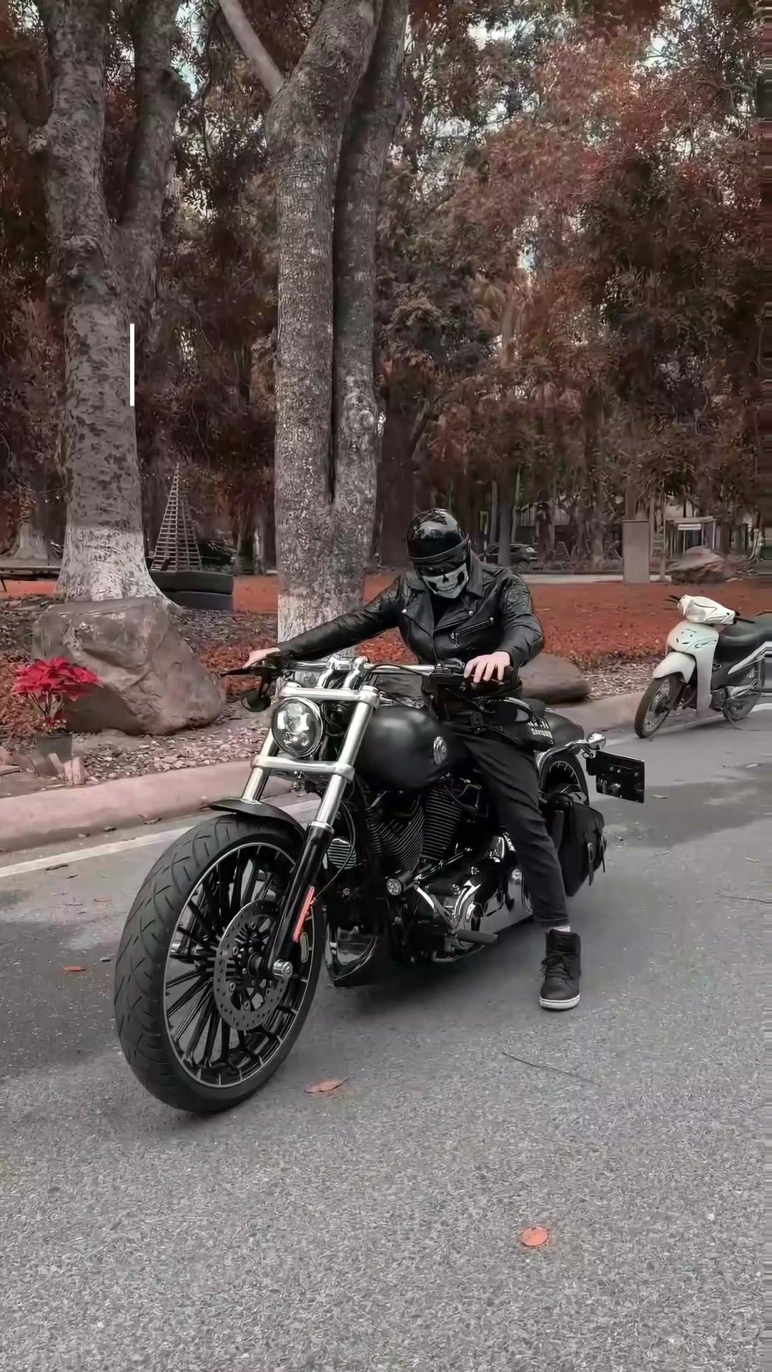 @💀MOTORBIKE LOGISTICA💀