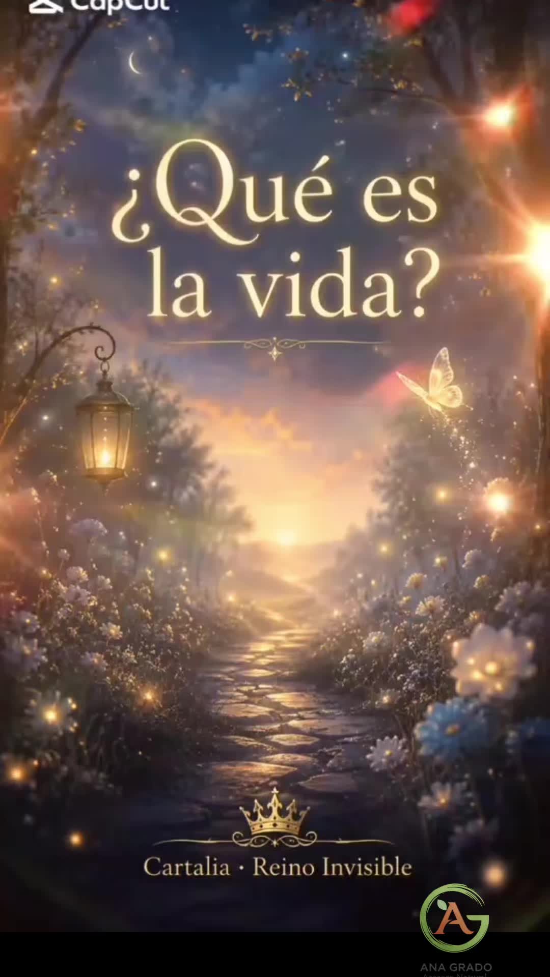 @Ana Grado