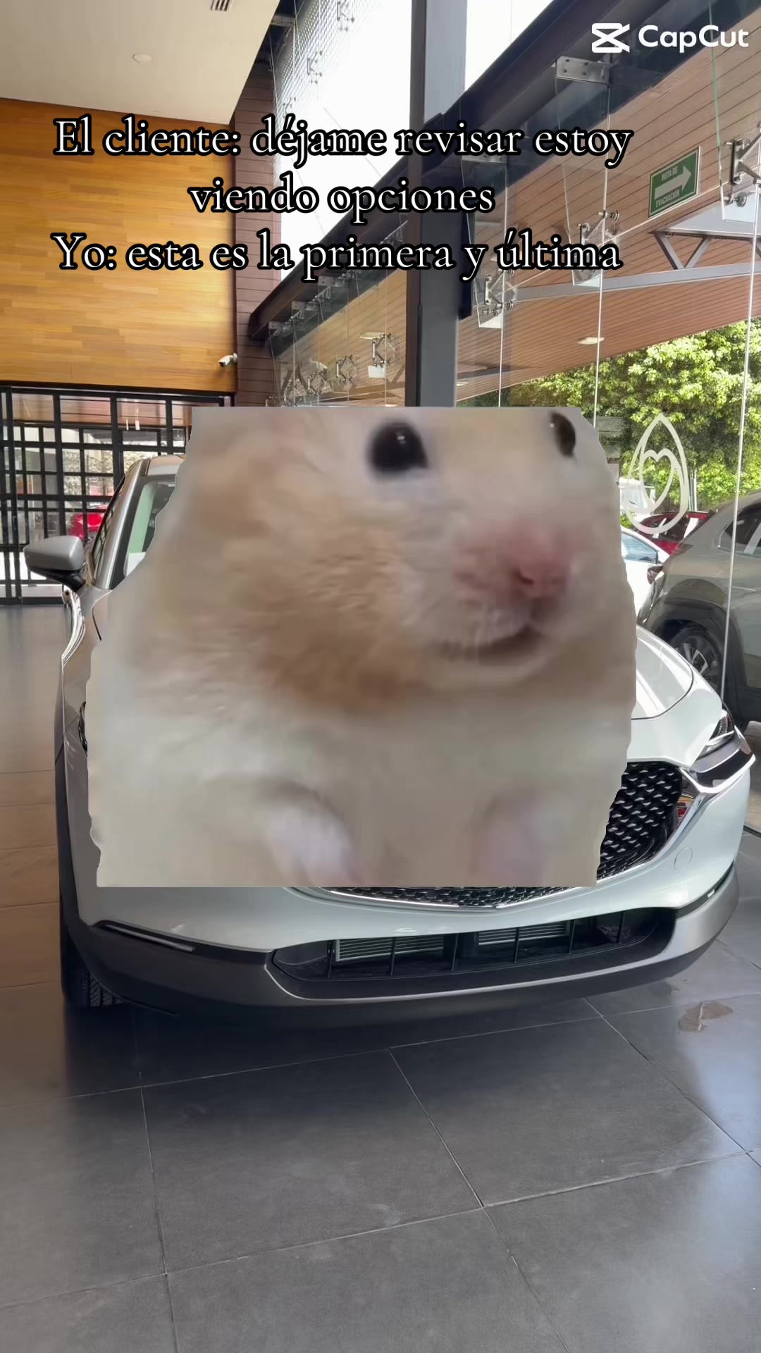 @Asesor Isabel Mazda Cuautla