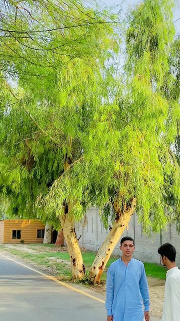 @رئیس خان 🌙